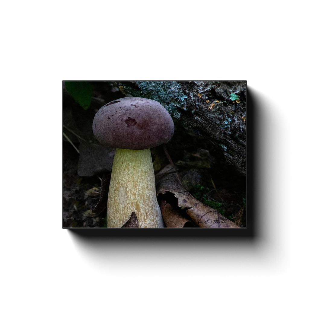 A macro photograph of a purple and white mushroom, with a blurred background of natural elements.