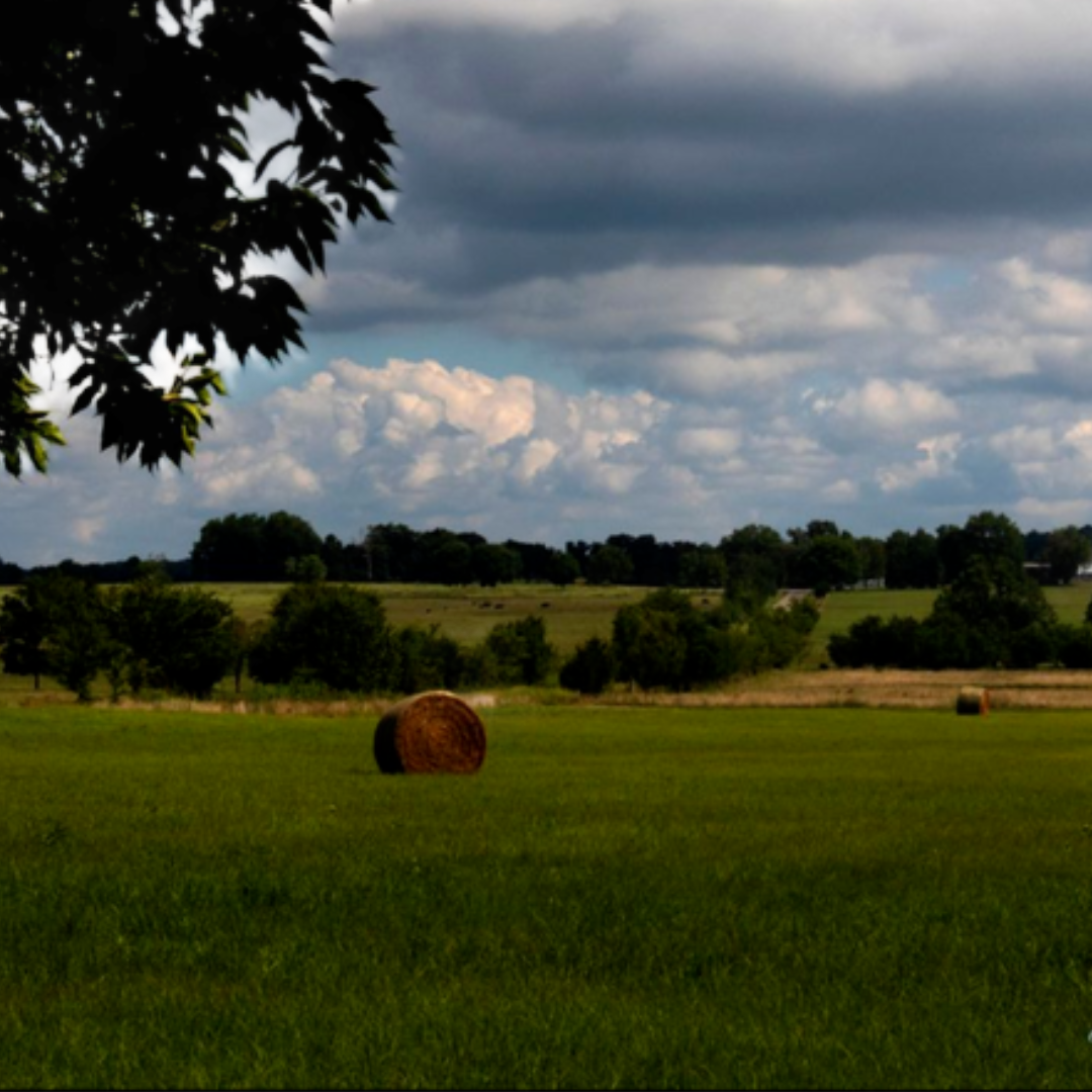 Green hayfield near Prairie Grove, Arkansas, with round hay bales, distant trees, farmland, and dramatic summer clouds.