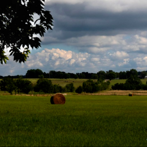 Green hayfield near Prairie Grove, Arkansas, with round hay bales, distant trees, farmland, and dramatic summer clouds.