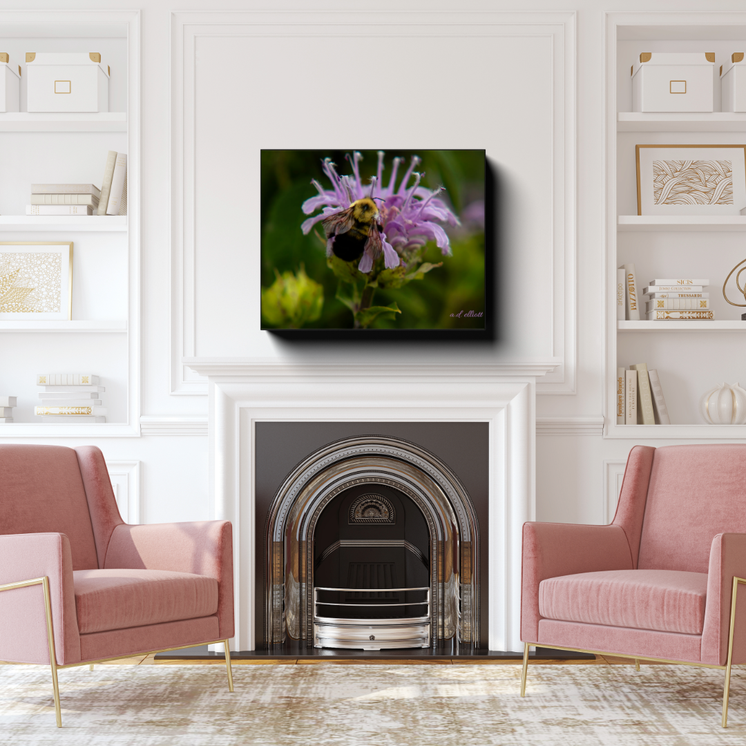 Bee and Monarda canvas photograph displayed above a white fireplace between two pink armchairs in an elegant living room.