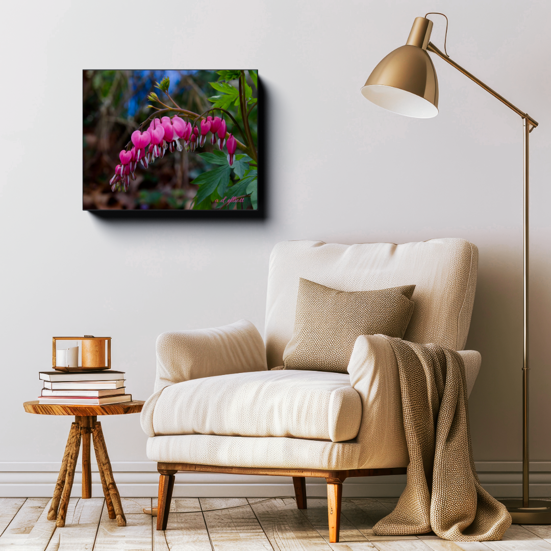 Bleeding Heart Flowers canvas wall art displayed above a reading chair in a cozy living room setting.