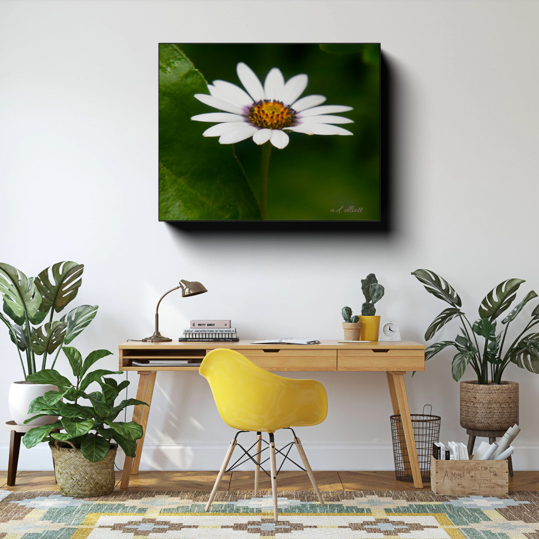 June Daisy canvas photograph displayed above a wooden desk with a yellow chair and green houseplants in a bright home office.