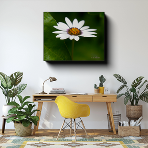 June Daisy canvas photograph displayed above a wooden desk with a yellow chair and green houseplants in a bright home office.