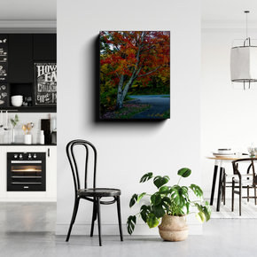 Gallery-wrapped canvas featuring a colorful autumn maple beside a winding Blue Ridge Parkway road displayed in a bright modern dining and kitchen area.