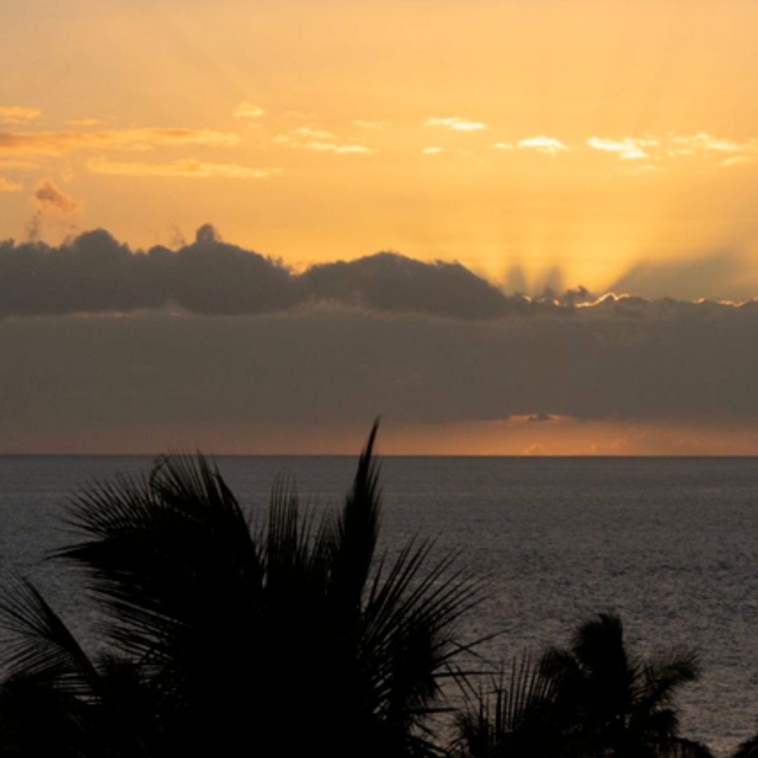 Close-up view of golden sunset light breaking through dark clouds above the Pacific Ocean, with silhouetted palm trees at Wailea Beach in Maui.