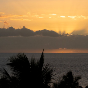 Close-up view of golden sunset light breaking through dark clouds above the Pacific Ocean, with silhouetted palm trees at Wailea Beach in Maui.