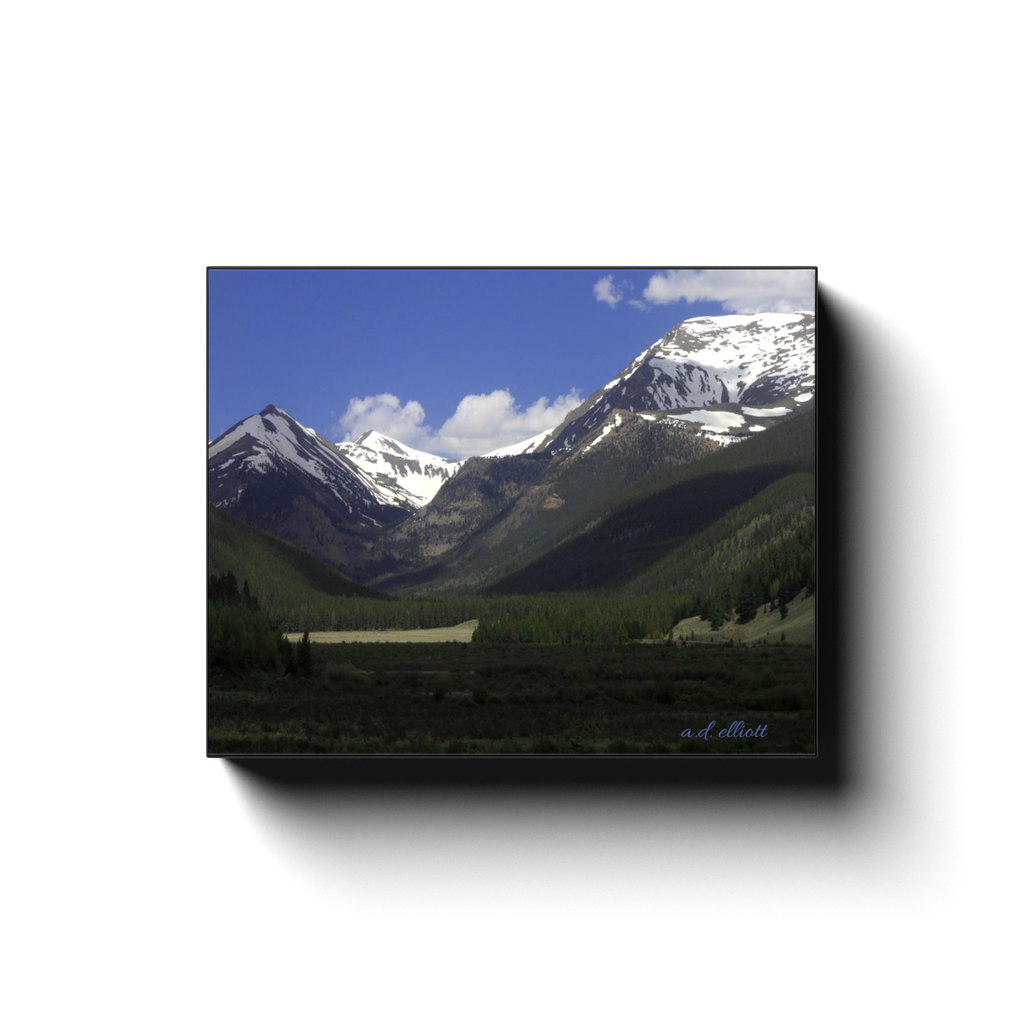 Snow-covered Mount Bierstadt rising above a green forested valley beneath a deep blue sky near Burning Bear, Colorado.