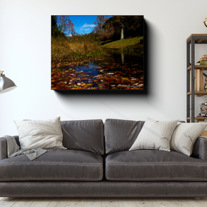 Gallery-wrapped canvas featuring autumn leaves floating on Rakes Mill Pond displayed above a gray sofa in a bright contemporary living room.