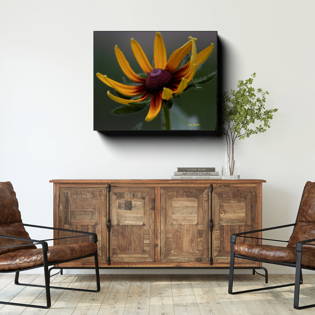 Rudbeckia canvas photograph displayed above a rustic wooden cabinet between two brown leather chairs in a warm, neutral room.
