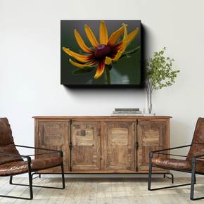 Rudbeckia canvas photograph displayed above a rustic wooden cabinet between two brown leather chairs in a warm, neutral room.