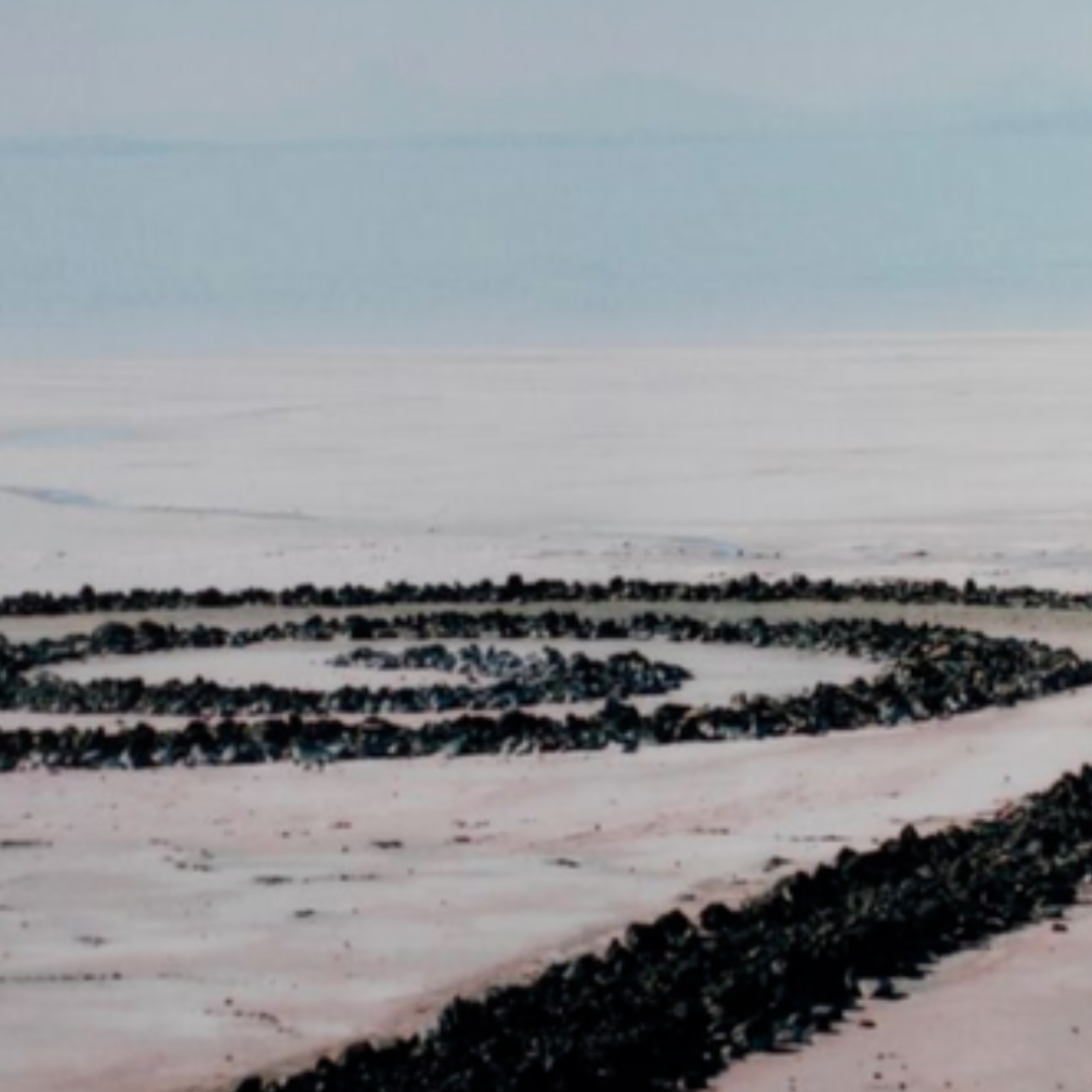 Close-up view of Spiral Jetty's winding rock formation extending into the salt flats of Utah's Great Salt Lake.