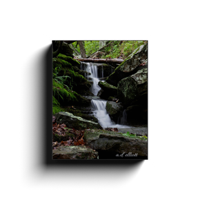 Gallery-wrapped canvas print featuring a secluded Arkansas waterfall flowing through moss-covered rocks in a lush green forest.