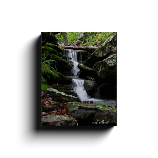 Gallery-wrapped canvas print featuring a secluded Arkansas waterfall flowing through moss-covered rocks in a lush green forest.