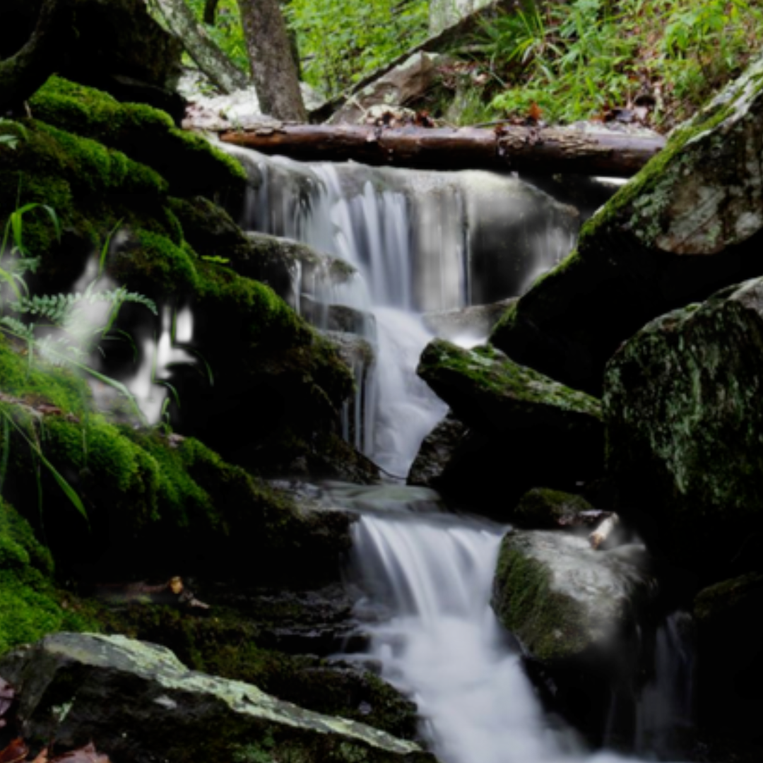 Small woodland waterfall cascading over moss-covered rocks and fallen logs in the Ozark Mountains near Winslow, Arkansas.