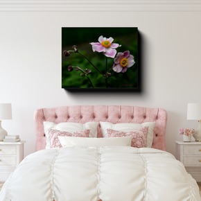 Gallery-wrapped canvas featuring pale pink thimbleweed flowers displayed above a pink upholstered bed in a bright, softly decorated bedroom.