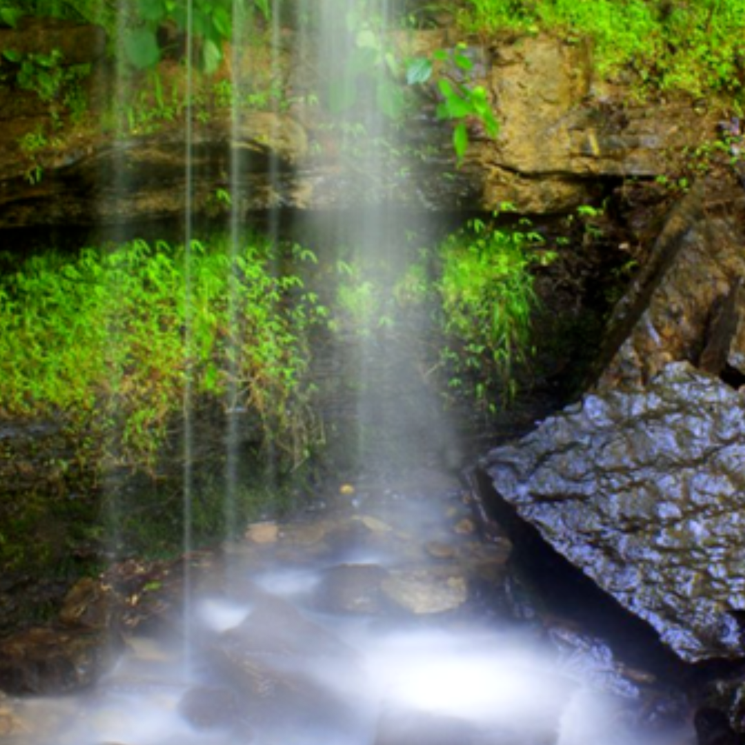 Waterfall flowing over a rock ledge into a shallow pool surrounded by mossy stone and bright green plants at Devil’s Den State Park in Arkansas.