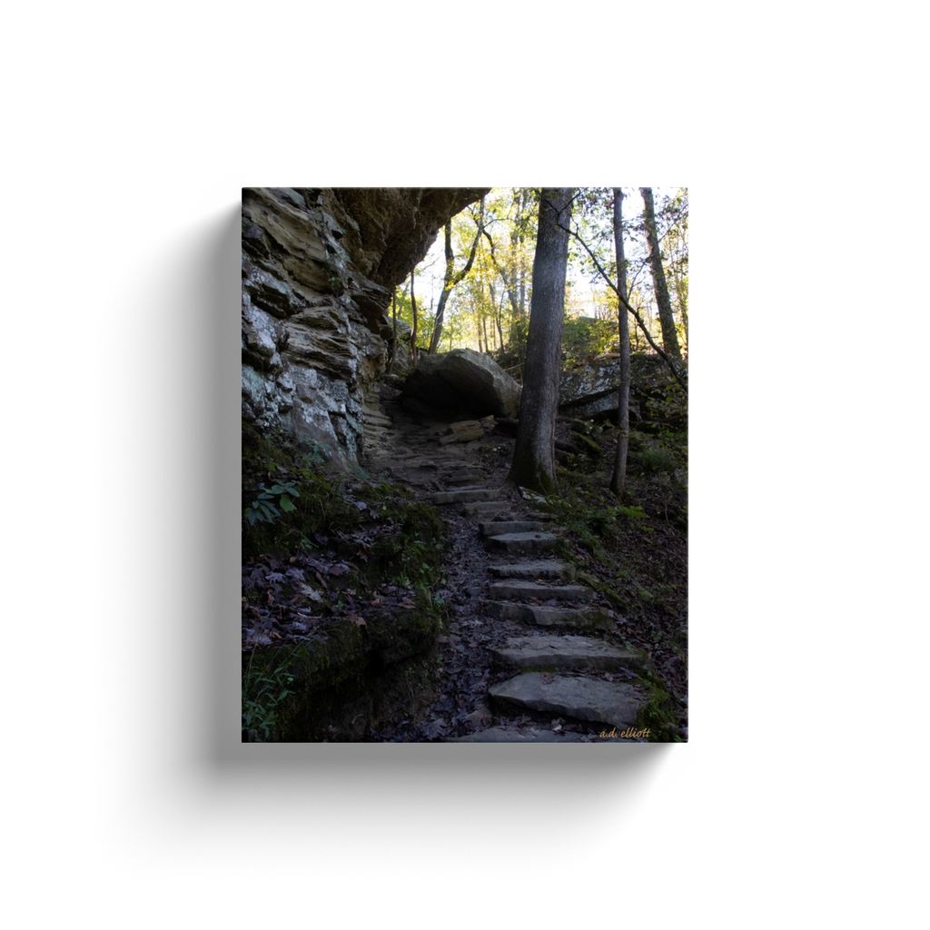 A landscape photograph of stone steps inset into a hill surrounded by autumn leaves. Taken by the Arkansas photographer a.d. elliott.  Printed on high quality, artist-grade stock and folded around a lightweight frame to give them a gorgeous, gallery-ready appearance. With acid-free ink that will last without fading or chipping, Features a scratch-resistant UV coating. Wipes clean easily with a damp cloth or to remove dust, vacuum gently using a soft brush attachment.