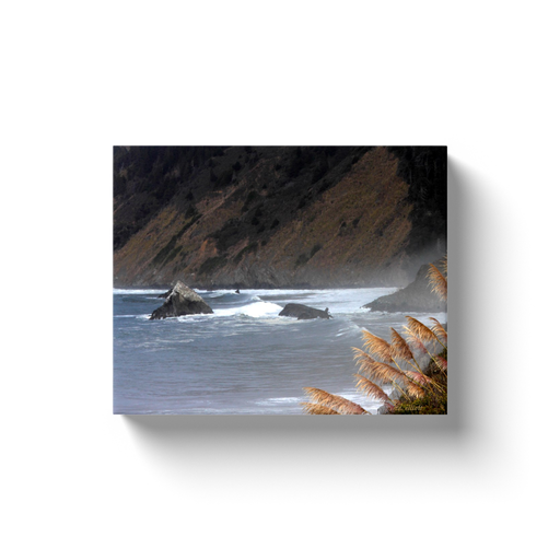 A landscape photograph of seagrass and waves on the Pacific.  Printed on high quality, artist-grade stock and folded around a lightweight frame to give them a gorgeous, gallery-ready appearance. With acid-free ink that will last without fading or chipping, Features a scratch-resistant UV coating. Wipes clean easily with a damp cloth or to remove dust, vacuum gently using a soft brush attachment.