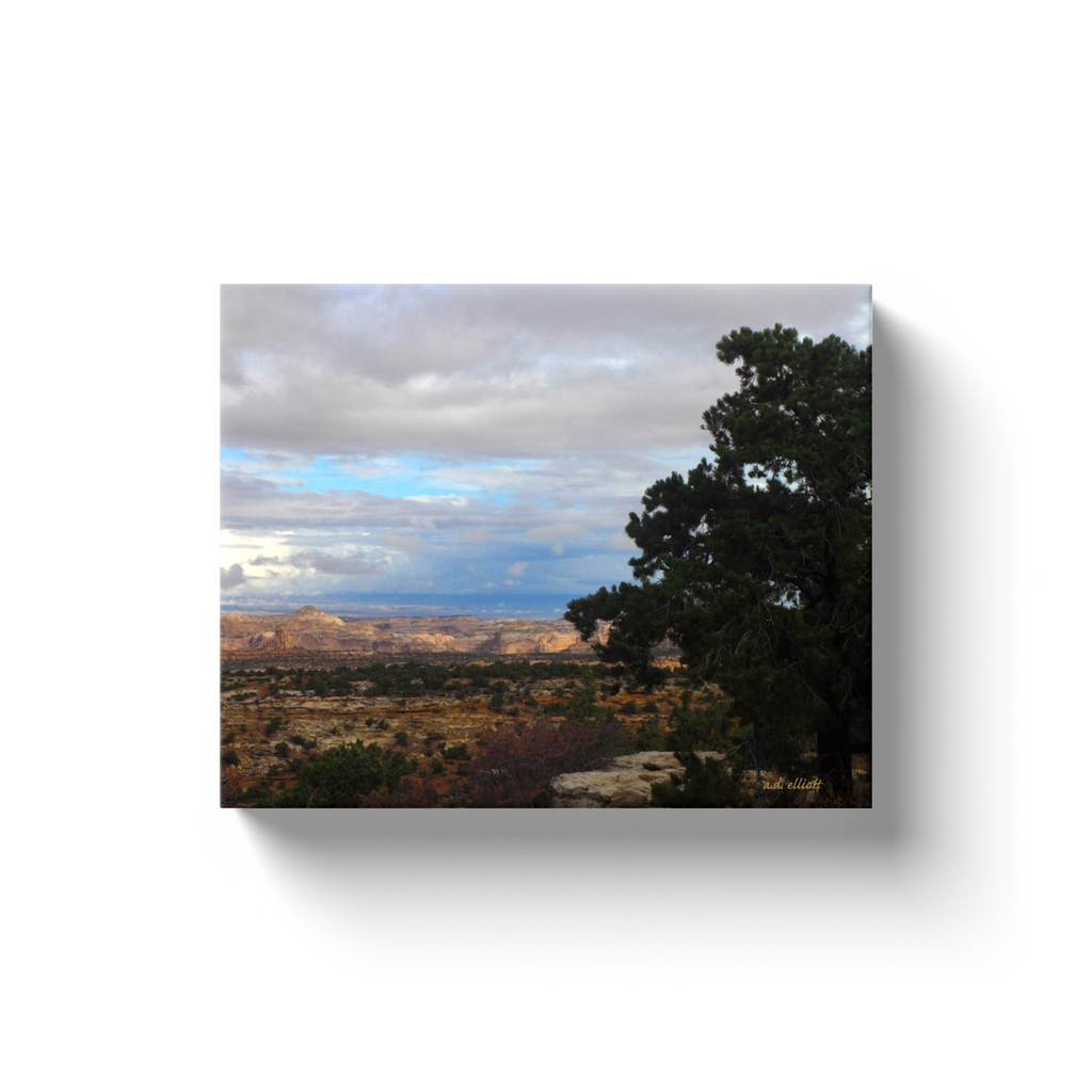 A landscape photograph of Devil's Canyon Utah. Taken by the Arkansas photographer a.d. elliott. #TaketheBackRoads  Printed on high quality, artist-grade stock and folded around a lightweight frame to give them a gorgeous, gallery-ready appearance. With acid-free ink that will last without fading or chipping, Features a scratch-resistant UV coating. Wipes clean easily with a damp cloth or to remove dust, vacuum gently using a soft brush attachment.