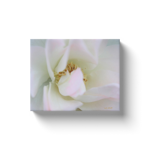 A macro photograph of a white rose with pink highlights.  Printed on high-quality, artist-grade stock and folded around a lightweight frame to give them a gorgeous, gallery ready appearance. With acid-free ink that will last without fading or chipping, Features a scratch-resistant UV coating. Wipes clean easily with a damp cloth or to remove dust, vacuum gently using a soft brush attachment.