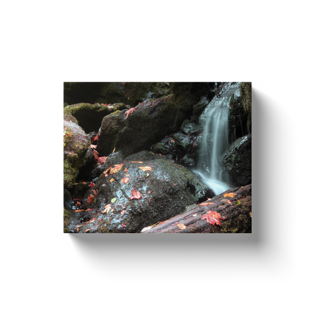 A long exposure photograph of Trillium Falls, Redwood National Park, California, taken by the photographer a.d. elliott.  Printed on high quality, artist-grade stock and folded around a lightweight frame to give them a gorgeous, gallery-ready appearance. With acid-free ink that will last without fading or chipping, Features a scratch-resistant UV coating. Wipes clean easily with a damp cloth or to remove dust, vacuum gently using a soft brush attachment.